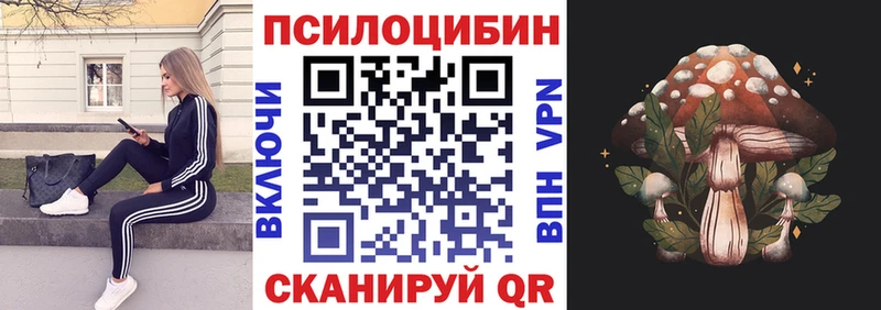 Псилоцибиновые грибы Psilocybe Вуктыл